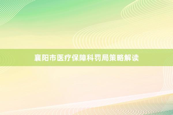 襄阳市医疗保障科罚局策略解读